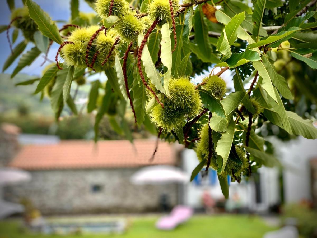 Casa Do Priolo - Villaverde Azores Feteiras Екстериор снимка