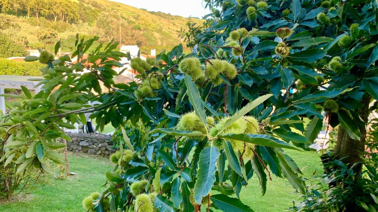 Casa Do Priolo - Villaverde Azores Feteiras Екстериор снимка